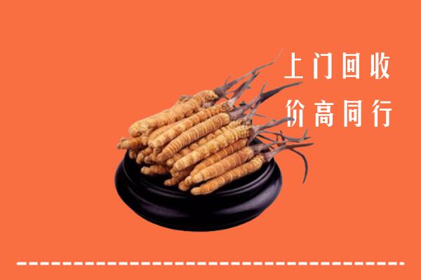 高价求购：襄城区回收散虫草